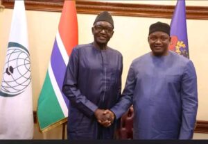 Is The Constitution According to the Gambia Bar Association A Sacred Text, a Political Tool, or Both?